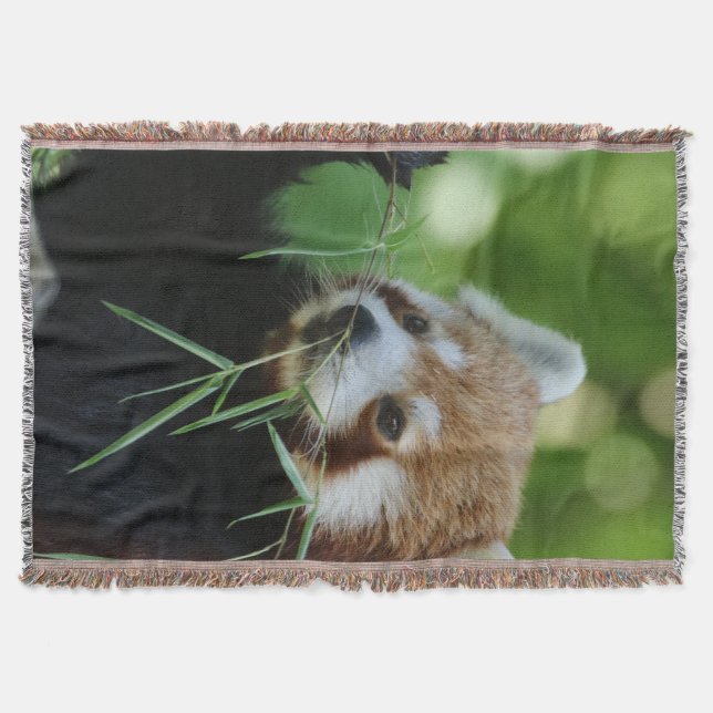 Cobertor RedPanda 002 (Frente)