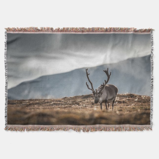 Cobertor Reindeer Nature Photo (Frente)