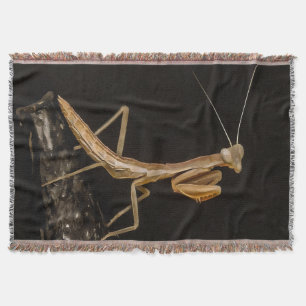 Cobertor Rezando Mantis, Fofa E Arte Inseta Assustadora
