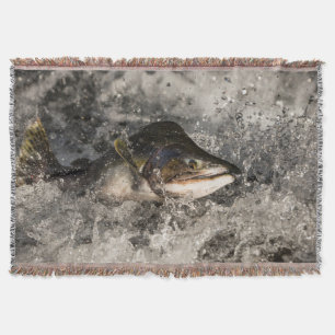 Cobertor Salmão de Salmão