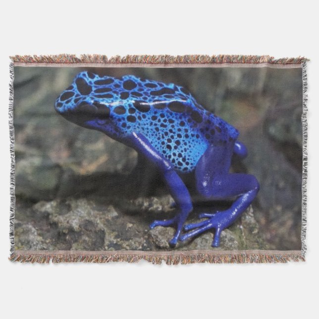 Cobertor Sapo de dardos azuis, Sapo azul brilhante (Frente)