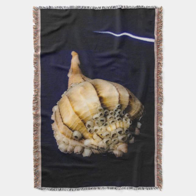 Cobertor Sea Snail Shell com Barnáculos (Frente Vertical)