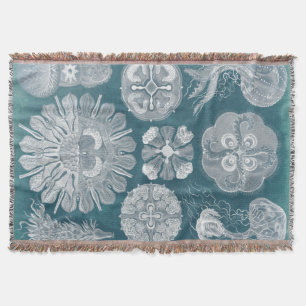 Cobertor Sealife Blueprint IV