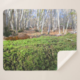 Cobertor Sherpa Abatimentos de árvores em Moss do outono - Persona