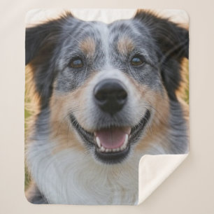 Cobertor Sherpa Adicionar Foto Pet Personalizar