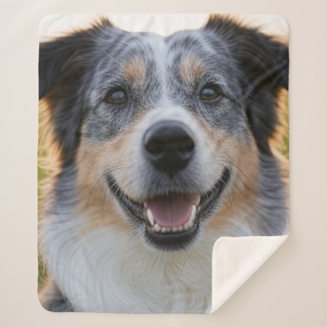 Cobertor Sherpa Adicionar Foto Pet Personalizar (Frente)