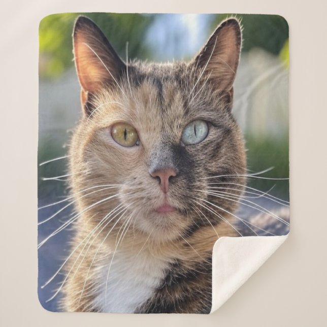 Cobertor Sherpa Adicionar Personalização de Foto de Cat (Frente)