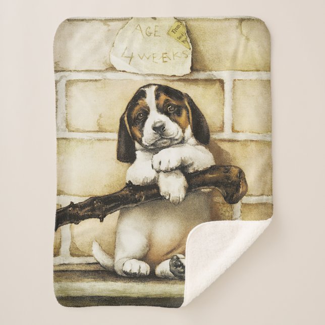 Cobertor Sherpa Adorável Puppy (Frente)