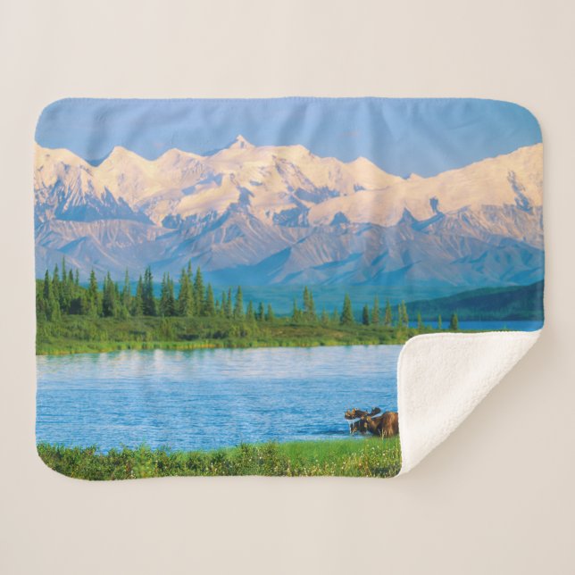 Cobertor Sherpa Alce macho no Wonder Lake (Frente (Horizontal))