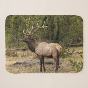 Cobertor Sherpa Alce Macho Parque Nacional de Yellowstone, Wyoming