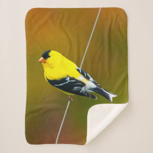Cobertor Sherpa American Goldfinch - Fotografia original