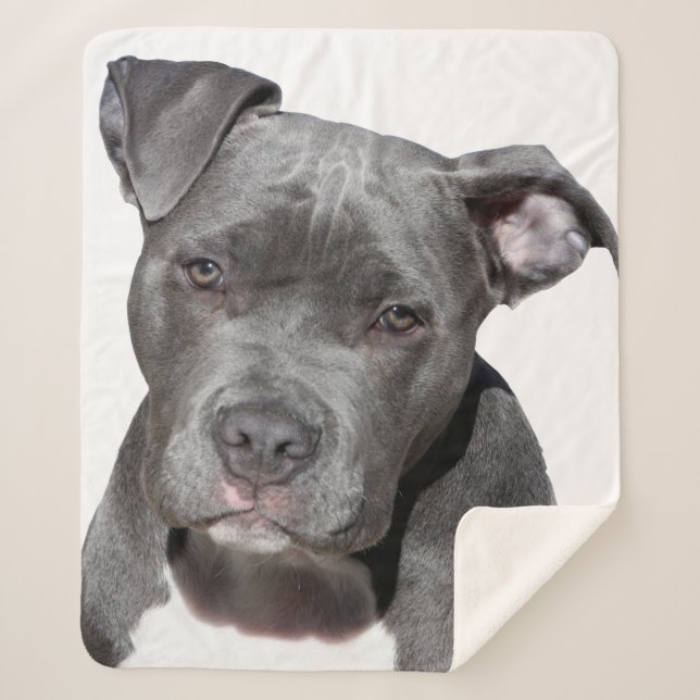 Cobertor Sherpa American Pit Bull Terrier (Frente)
