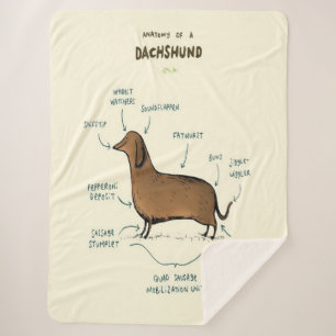 Cobertor Sherpa Anatomia De Um Dachshund Amantes De Cães Dachshun