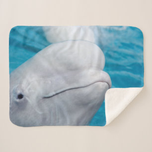 Cobertor Sherpa Animal marinho de baleia de Beluga