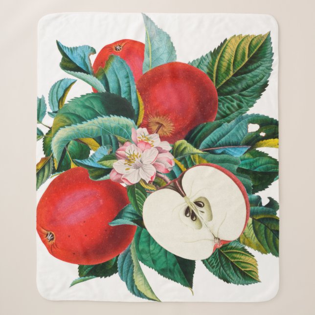 Cobertor Sherpa Arranjo de fruta de maçã botânica, antigo t (Frente)