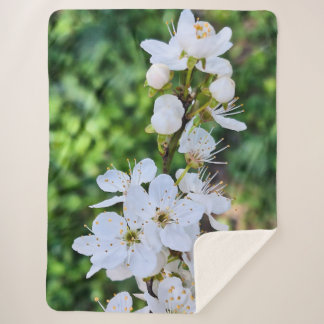 Cobertor Sherpa Árvore em Flor na Primavera Romênia – Fotografia d