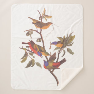 Cobertor Sherpa As Aves Pintadas com Audubon são Árvores de Amei