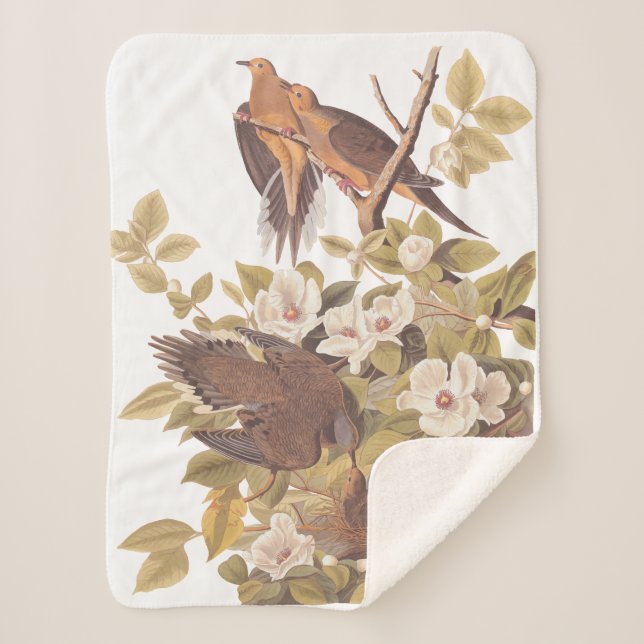 Cobertor Sherpa Audubon Carolina Turtle Dove (Frente)