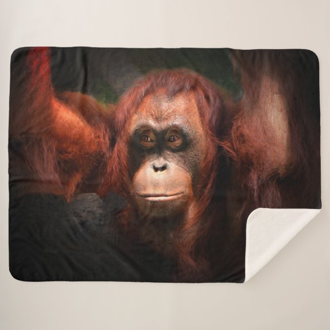 Cobertor Sherpa Aurora (Frente (Horizontal))