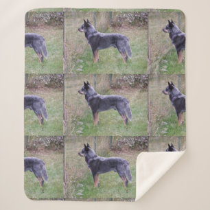 Cobertor Sherpa Australian_Cattle_Dog_blue completo