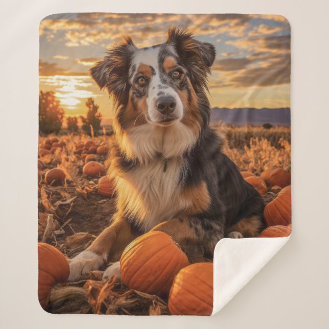 Cobertor Sherpa Autumn Australian Shepherd (Frente)