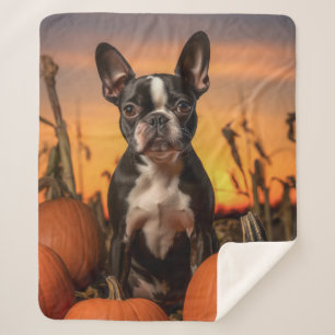 Cobertor Sherpa Autumn Boston Terrier