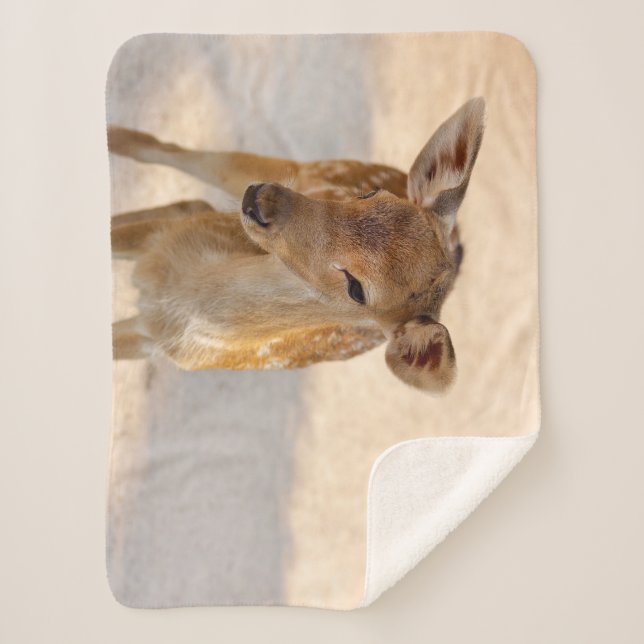 Cobertor Sherpa Baby Deer (Frente)