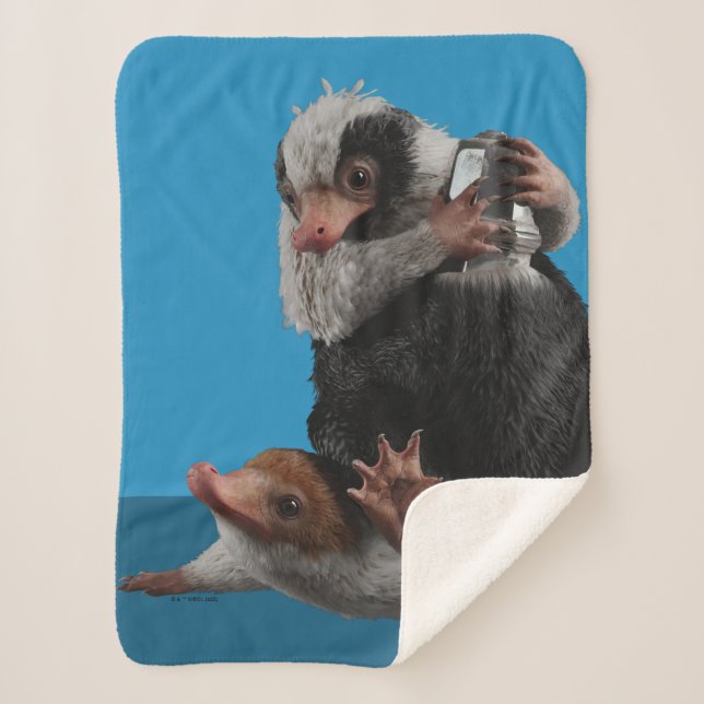 Cobertor Sherpa Baby Nifflers Find A Prize (Frente)