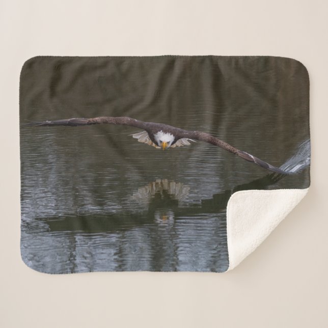 Cobertor Sherpa Bald Eagle em Voo Sherpa Blanket (Frente (Horizontal))