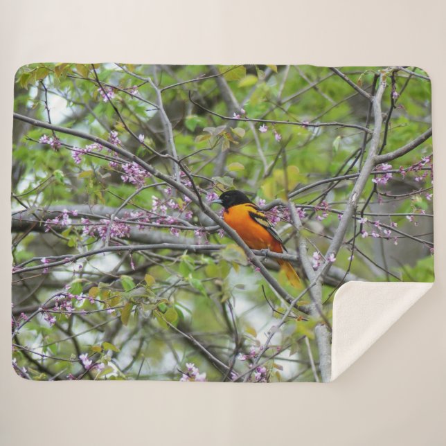 Cobertor Sherpa Baltimore Oriole (Frente (Horizontal))