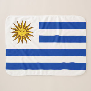 Cobertor Sherpa Bandeira do Uruguai