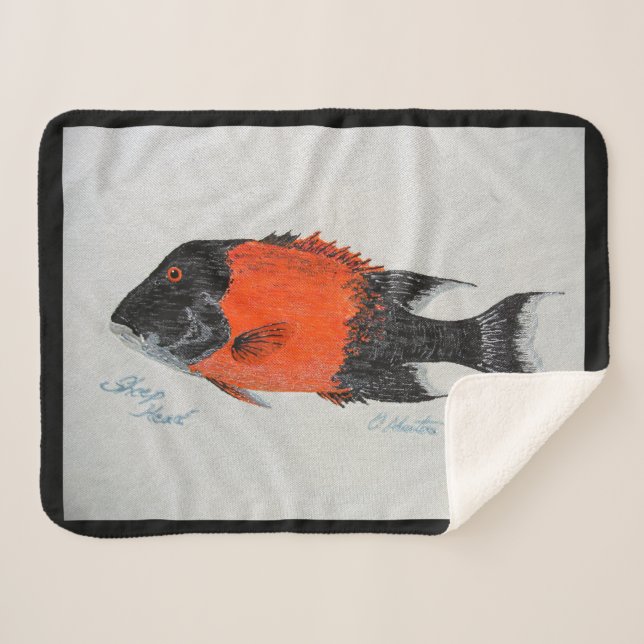 Cobertor Sherpa Banheiras do Bubblepacific (Frente (Horizontal))