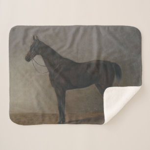 Cobertor Sherpa Bay Gelding Horse (por Albrecht Adam)