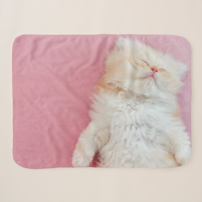 Cobertor Sherpa Bebês Mais Pobres | Adorável Adormecimento (Frente (Horizontal))