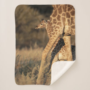 Cobertor Sherpa Bebês Mais Pobres Baby Giraffe & Parent