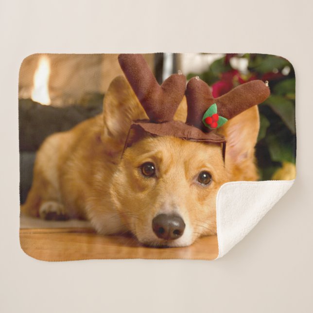 Cobertor Sherpa Bebês Mais Pobres | Berna de Natal de Corgi (Frente (Horizontal))