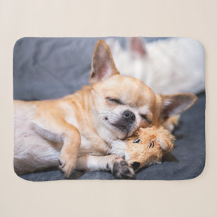 Cobertor Sherpa Bebês Mais Pobres Cão Chihuahua de cabelos verme