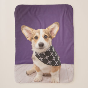 Cobertor Sherpa Bebês Mais Pobres Corgi Puppy Skull Bandana