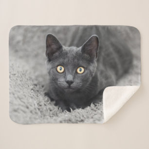 Cobertor Sherpa Bebês Mais Pobres   Gato Cinza