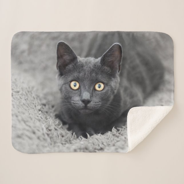 Cobertor Sherpa Bebês Mais Pobres | Gato Cinza (Frente (Horizontal))