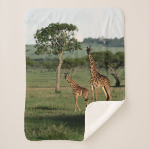Cobertor Sherpa Bebês Mais Pobres Giraffe Calf & Mama
