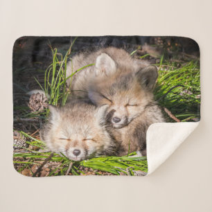 Cobertor Sherpa Bebês Mais Pobres   Kits De Raposa Vermelha Para B