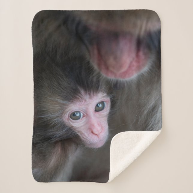 Cobertor Sherpa Bebês Mais Pobres | Macaco Baby Macaque e Mãe (Frente)