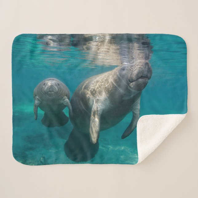 Cobertor Sherpa Bebês Mais Pobres | Manateio e Bebê (Frente (Horizontal))