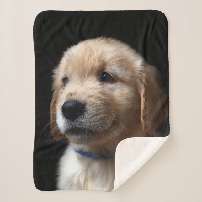 Cobertor Sherpa Bebês Mais Pobres | Ouro Retriever Puppy (Frente)
