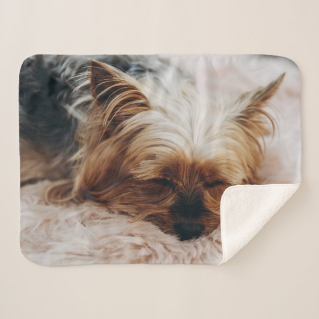 Cobertor Sherpa Bebês Mais Pobres | Yorkshire Terrier (Frente (Horizontal))