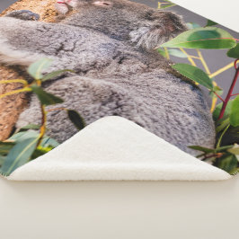 Cobertor Sherpa Bela coala