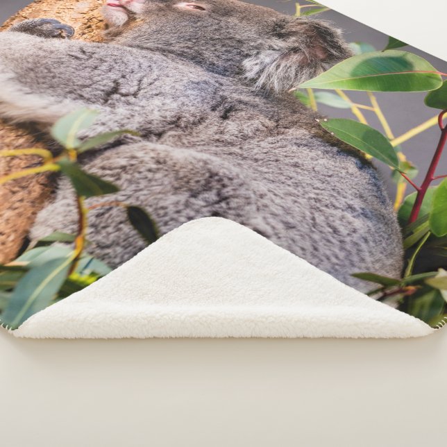 Cobertor Sherpa Bela coala (3/4)