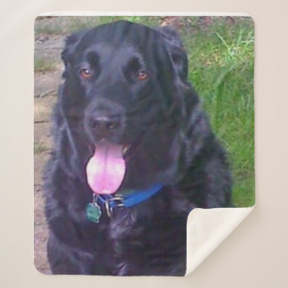 Cobertor Sherpa Belo Dia