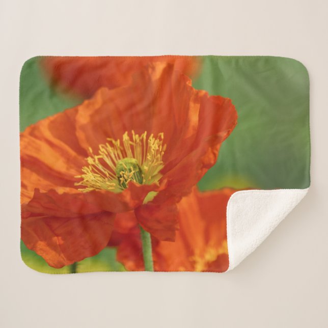 Cobertor Sherpa Belo papa vermelho (Frente (Horizontal))